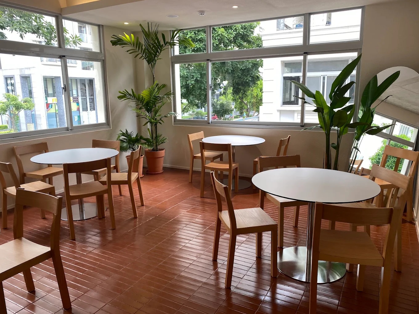 The interior features a minimalist, Scandinavian-inspired design with natural light, wooden furniture, and refreshing greenery
